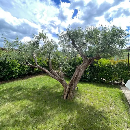 Oasi Del Convento Apartment Talacchio